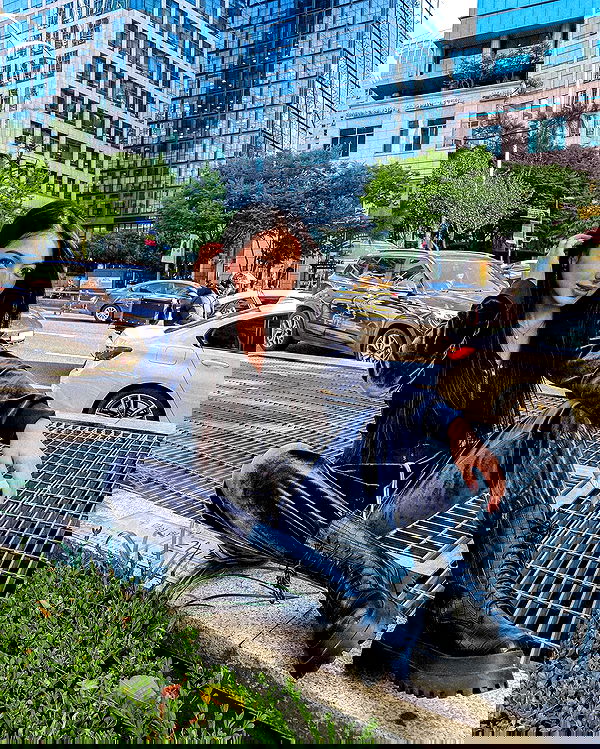 siyamore_ image ~ Altpins