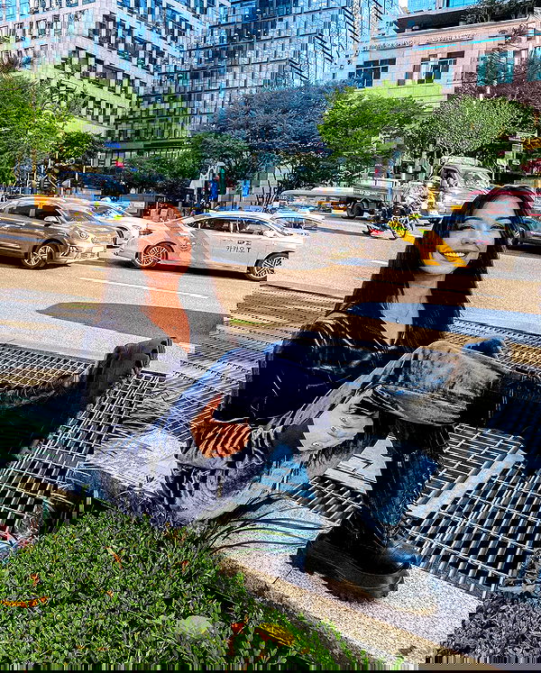 siyamore_ image ~ Altpins