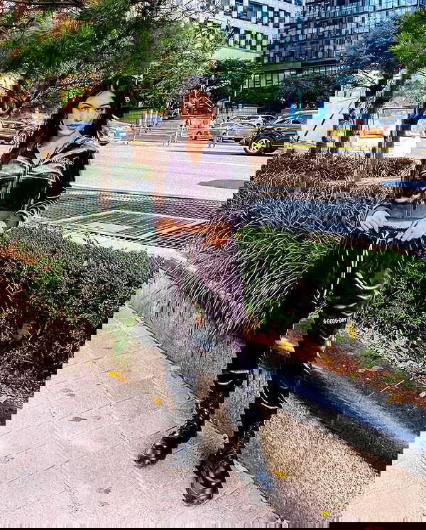 siyamore_ image ~ Altpins