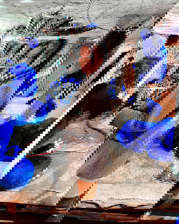 siyamore_ image ~ Altpins