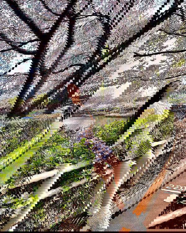 siyamore_ image ~ Altpins