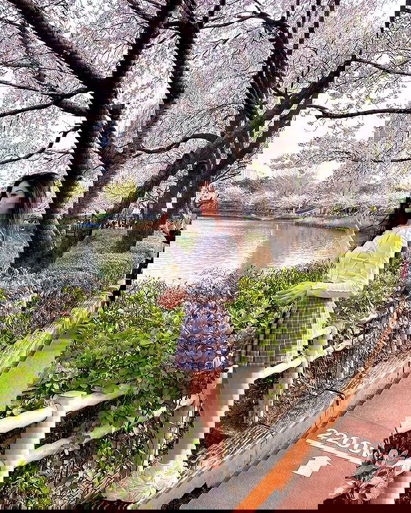 siyamore_ image ~ Altpins