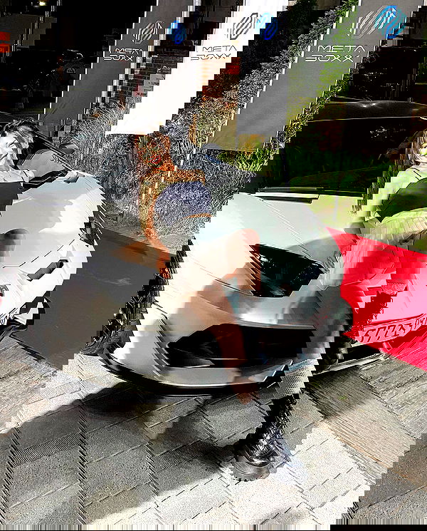 siyamore_ image ~ Altpins