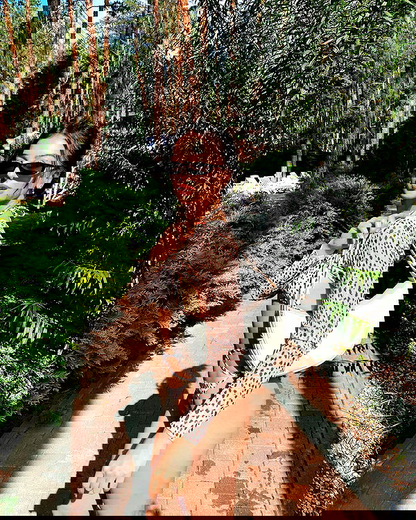 siyamore_ image ~ Altpins