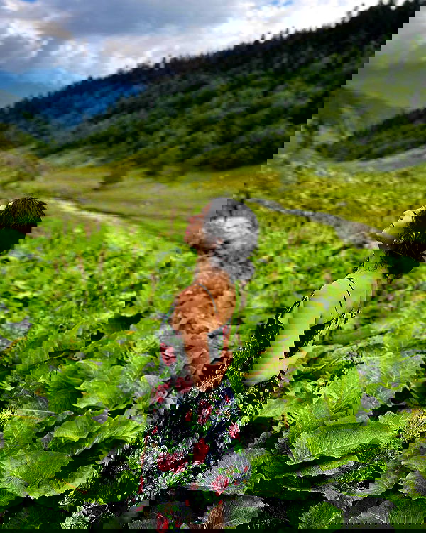 siyamore_ image ~ Altpins