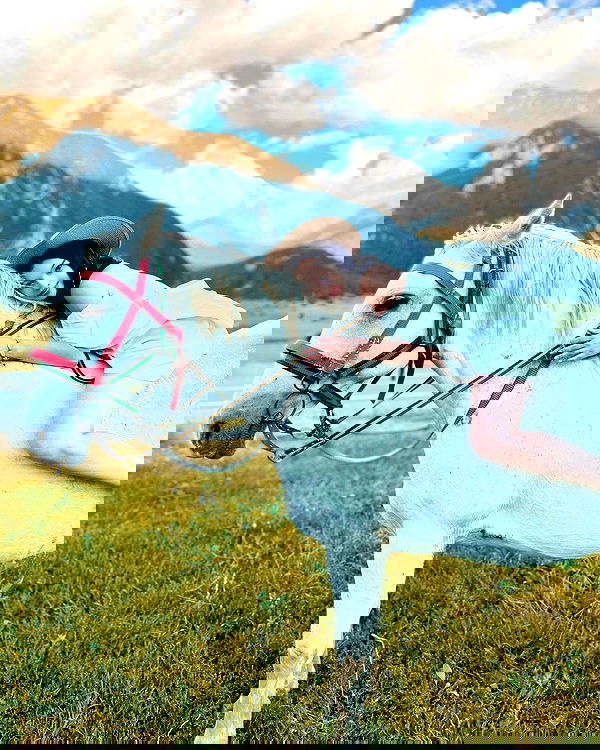 siyamore_ image ~ Altpins