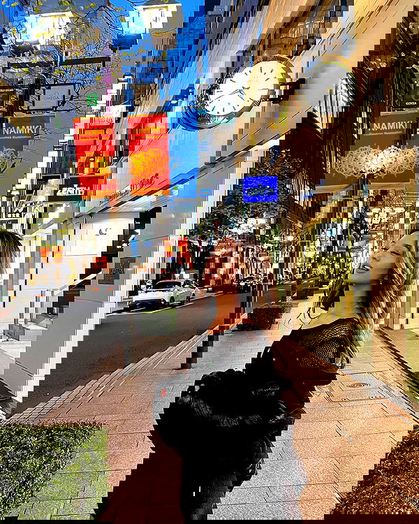 siyamore_ image ~ Altpins