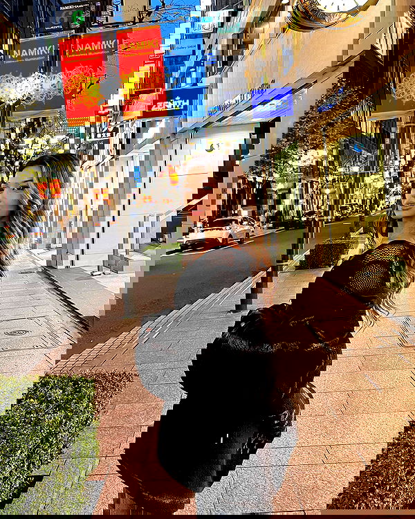 siyamore_ image ~ Altpins