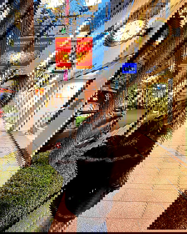 siyamore_ image ~ Altpins