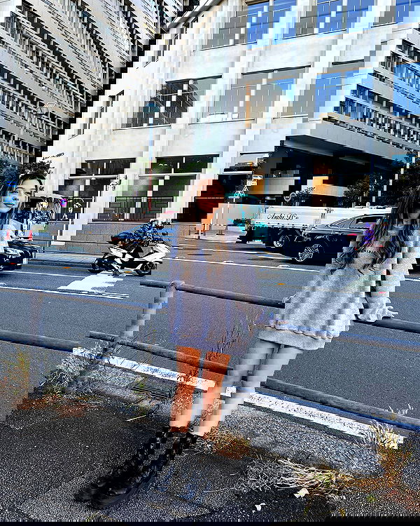 siyamore_ image ~ Altpins