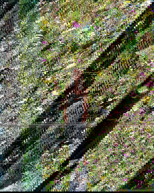 siyamore_ image ~ Altpins