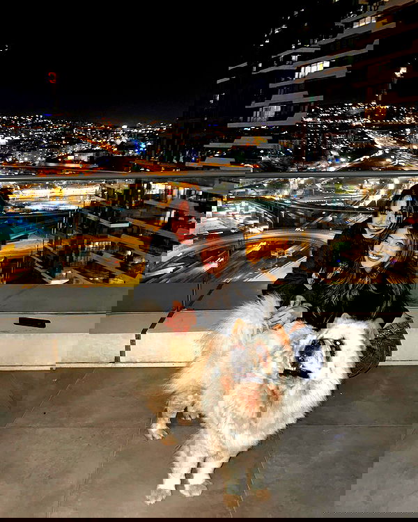 siyamore_ image ~ Altpins