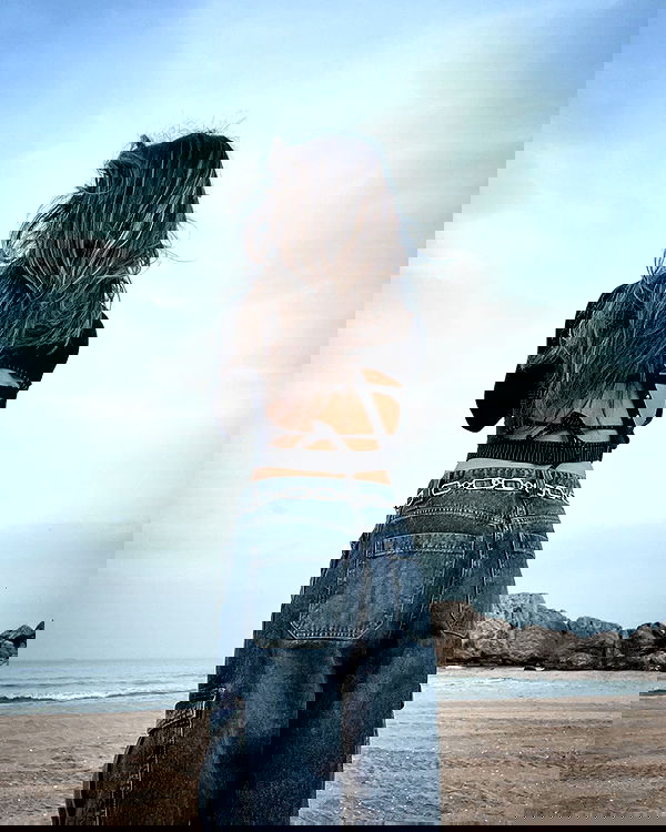 siyamore_ image ~ Altpins