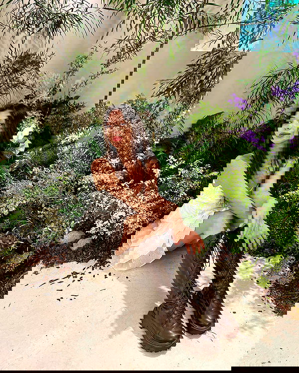 siyamore_ image ~ Altpins