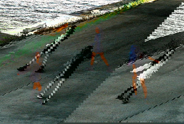 siyamore_ image ~ Altpins