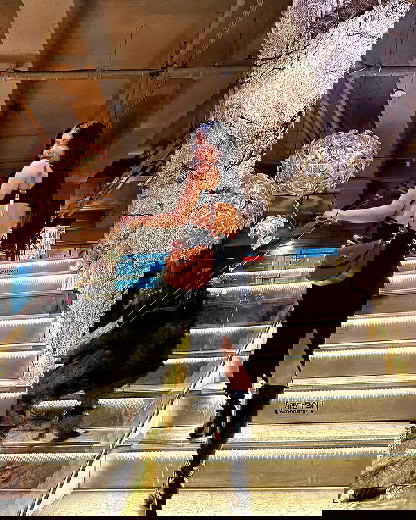 siyamore_ image ~ Altpins