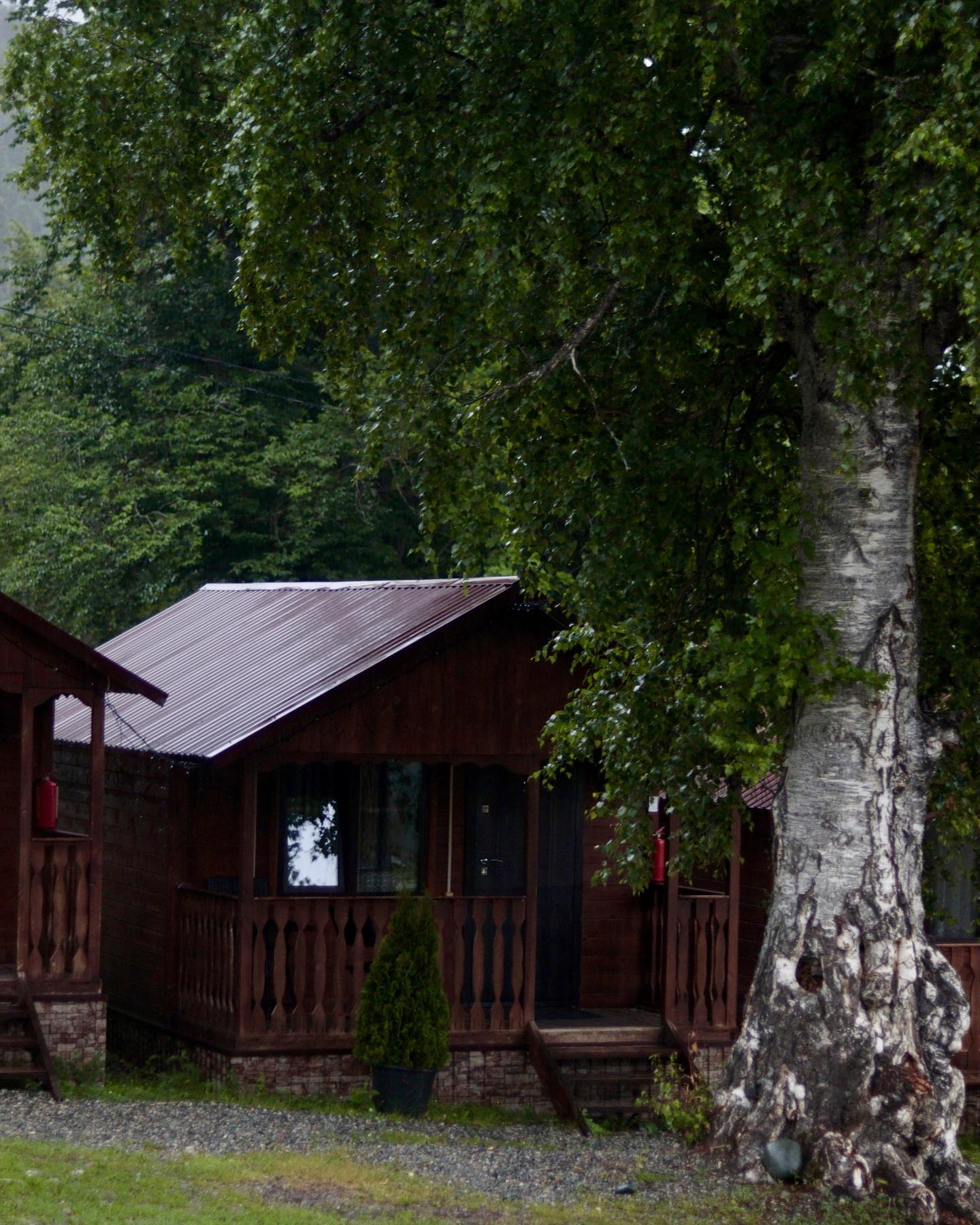 siyamore_ instagram image archive image