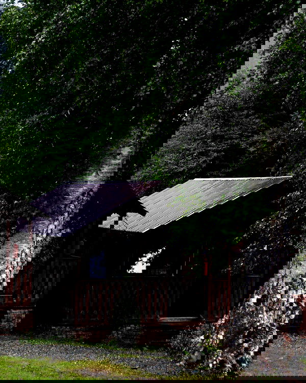 siyamore_ image ~ Altpins