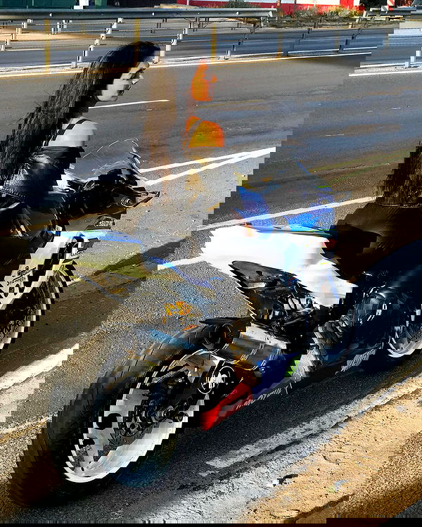 siyamore_ image ~ Altpins