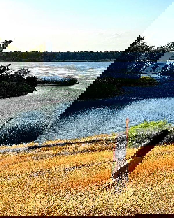 siyamore_ image ~ Altpins