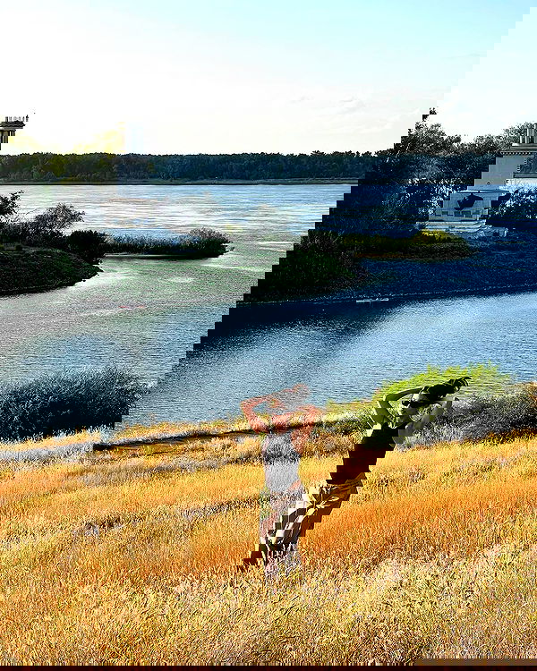 siyamore_ image ~ Altpins