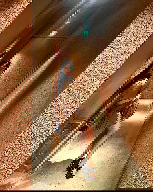 siyamore_ image ~ Altpins