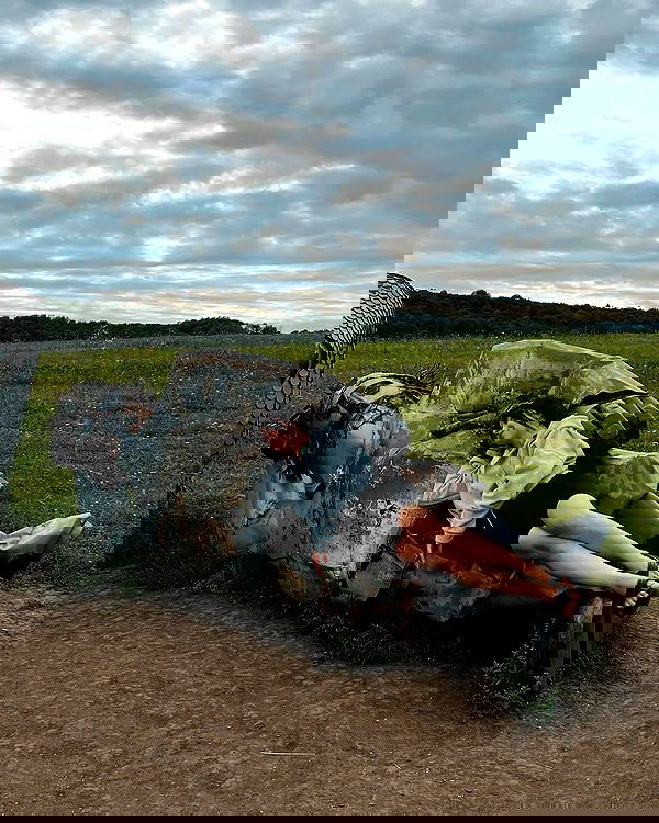 siyamore_ image ~ Altpins