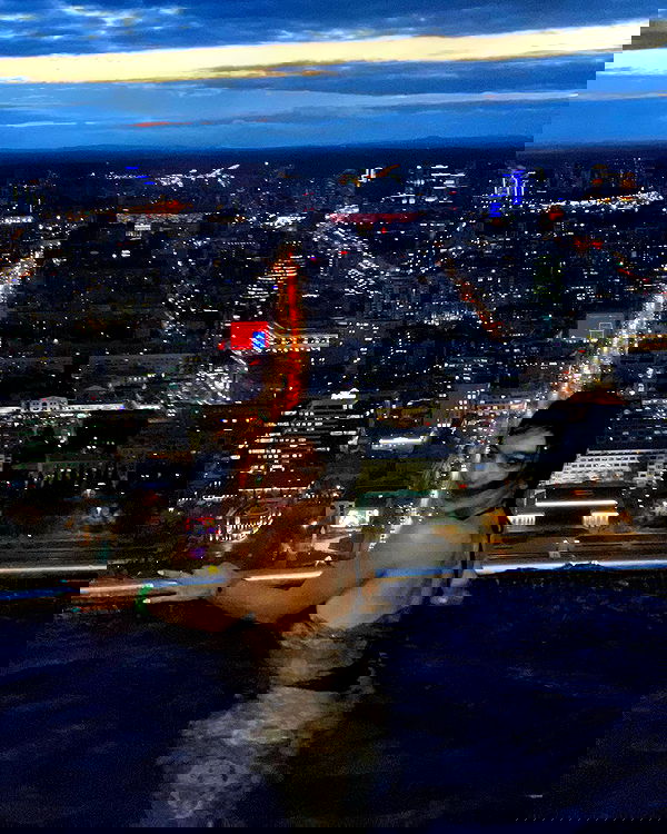 siyamore_ image ~ Altpins