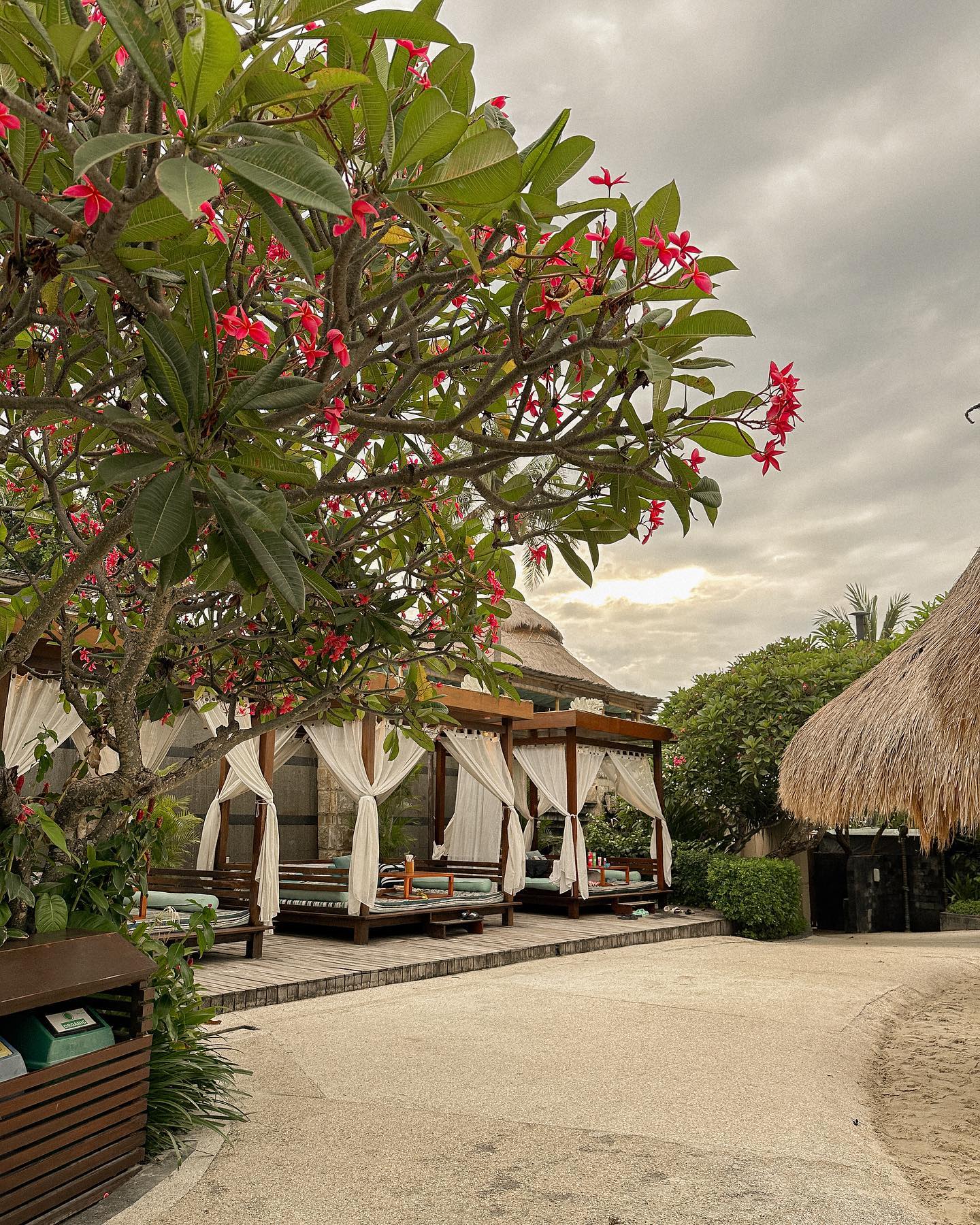 siyamore_ instagram image archive image