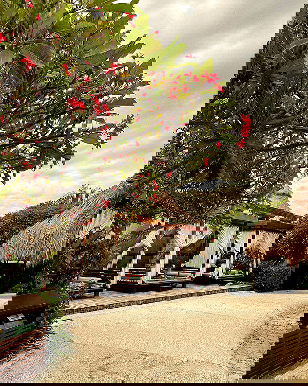 siyamore_ image ~ Altpins