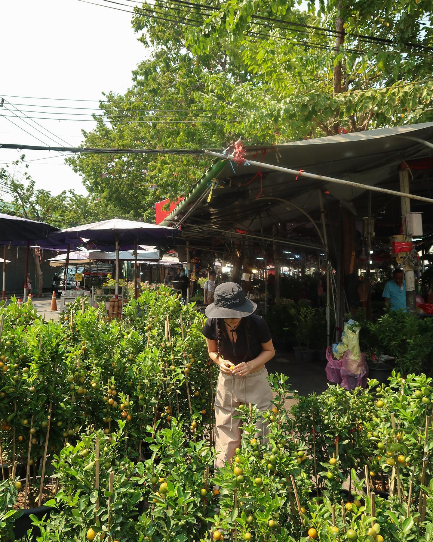 siyamore_ instagram image archive image