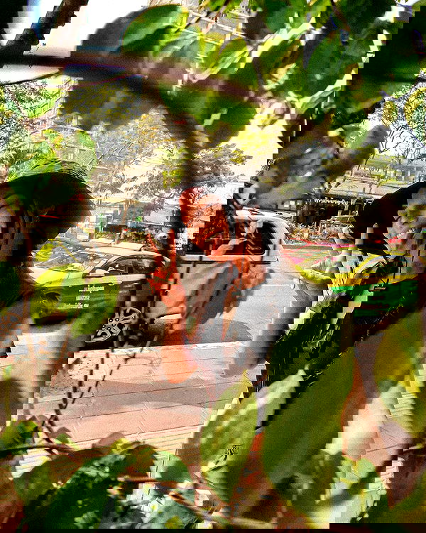 siyamore_ image ~ Altpins