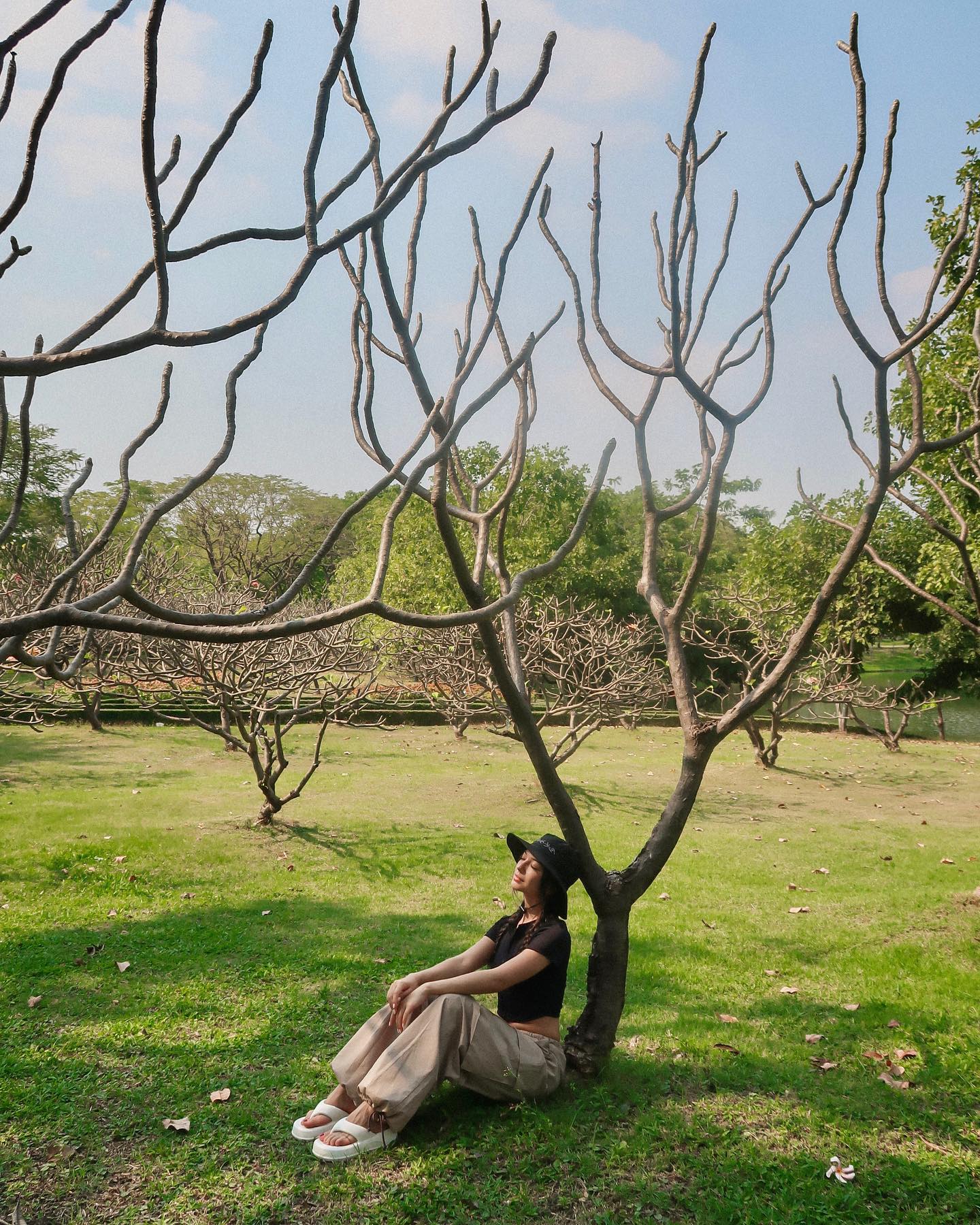 siyamore_ instagram image archive image