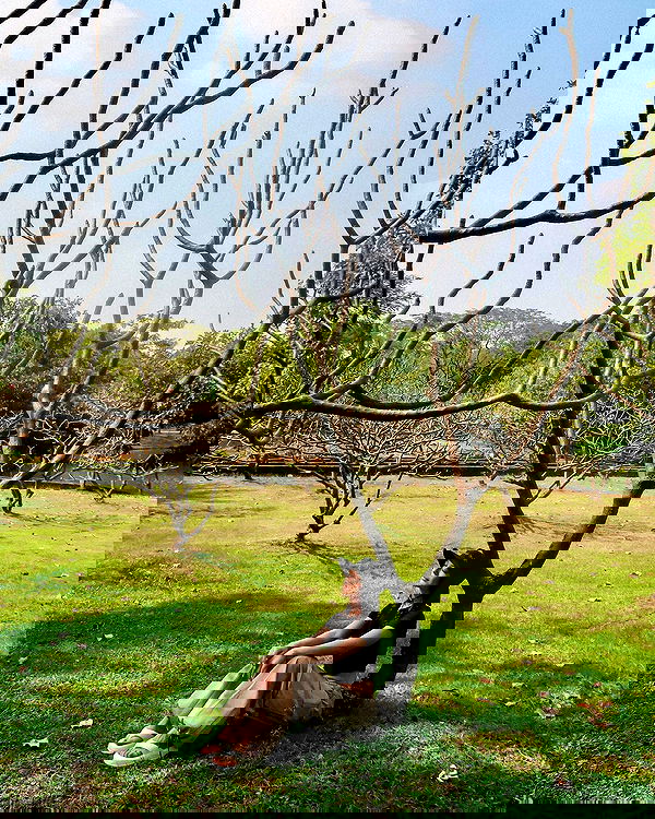 siyamore_ image ~ Altpins