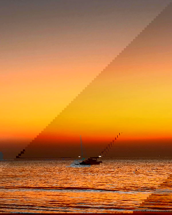 siyamore_ image ~ Altpins