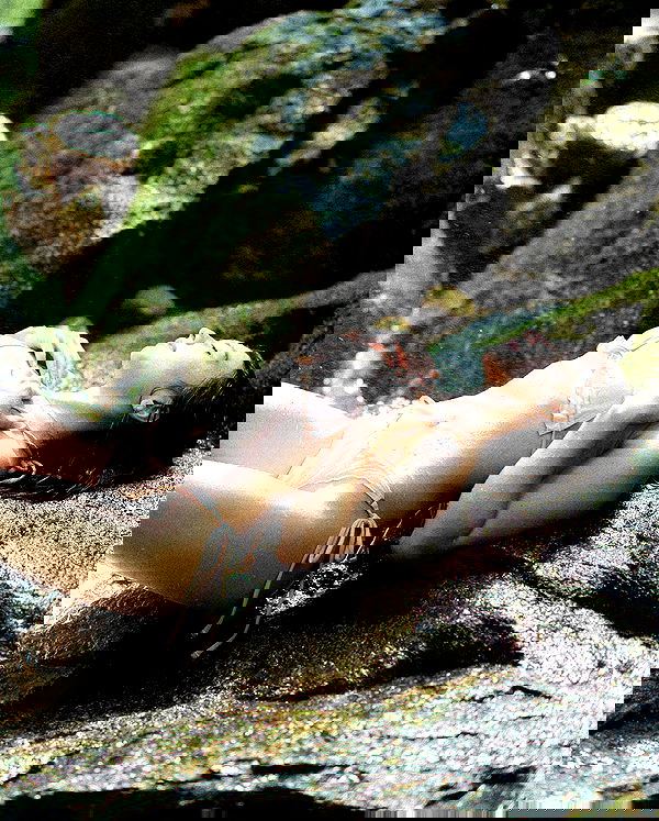 siyamore_ image ~ Altpins