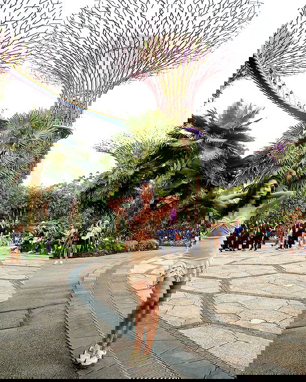 siyamore_ image ~ Altpins