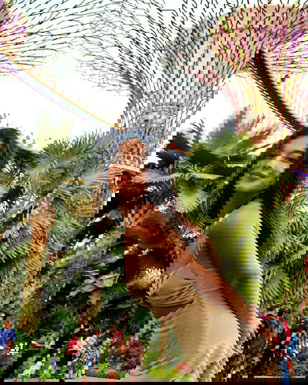 siyamore_ image ~ Altpins