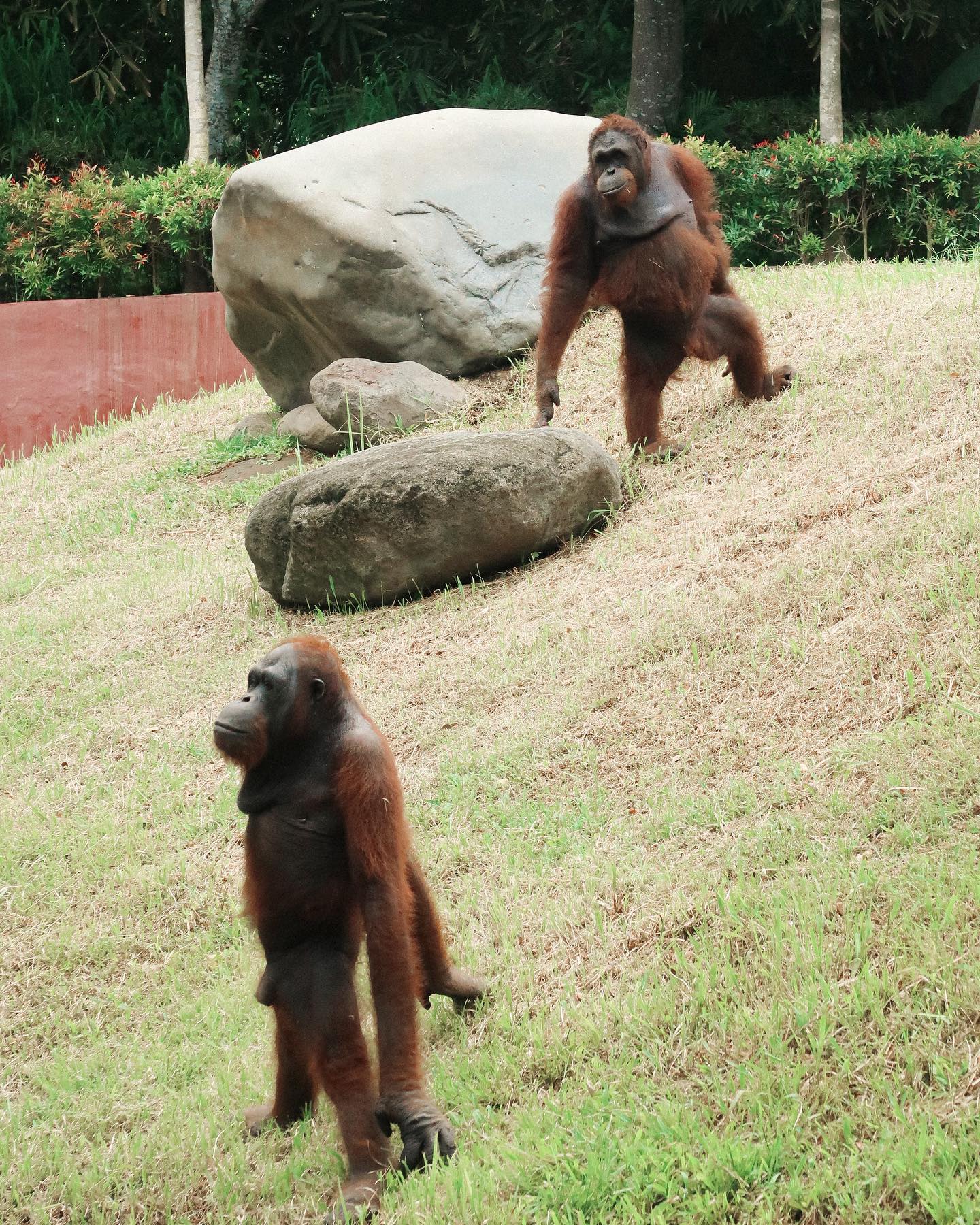 siyamore_ instagram image archive image