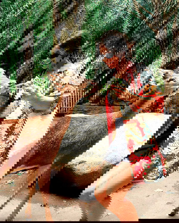 siyamore_ image ~ Altpins