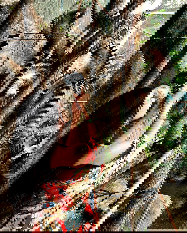 siyamore_ image ~ Altpins