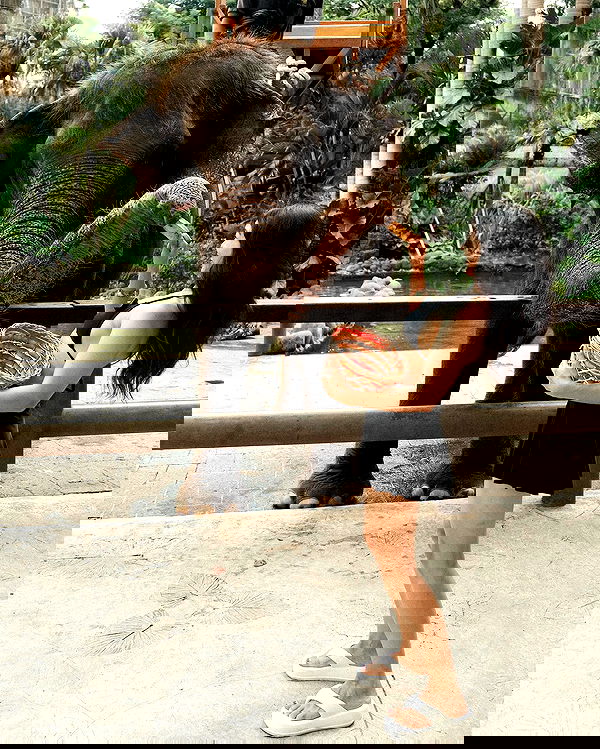 siyamore_ image ~ Altpins