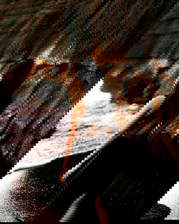 siyamore_ image ~ Altpins