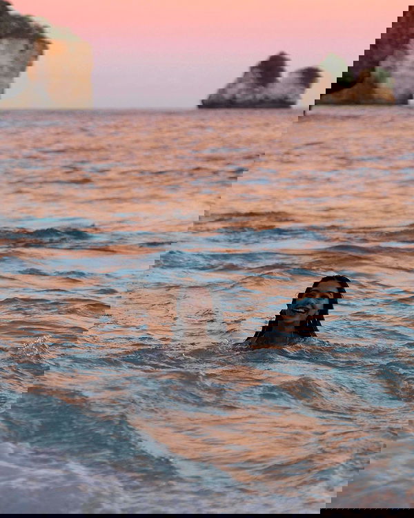 siyamore_ image ~ Altpins