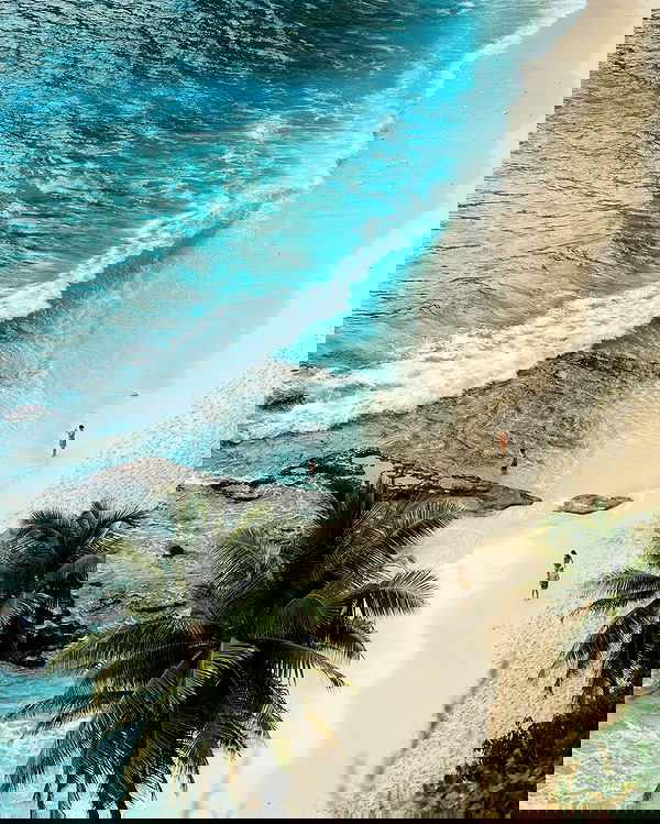 siyamore_ image ~ Altpins