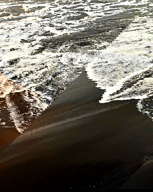 siyamore_ image ~ Altpins