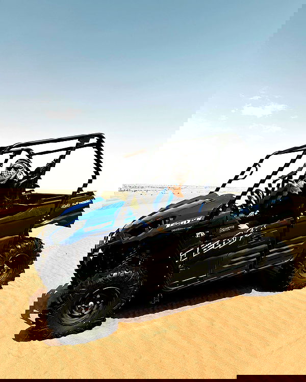 siyamore_ image ~ Altpins