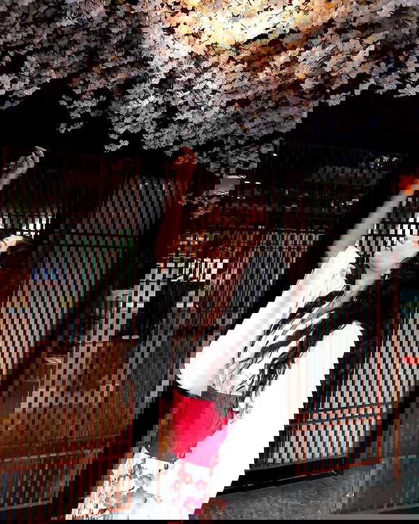 siyamore_ image ~ Altpins