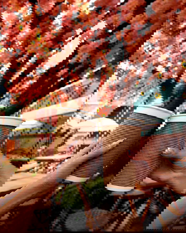 siyamore_ image ~ Altpins