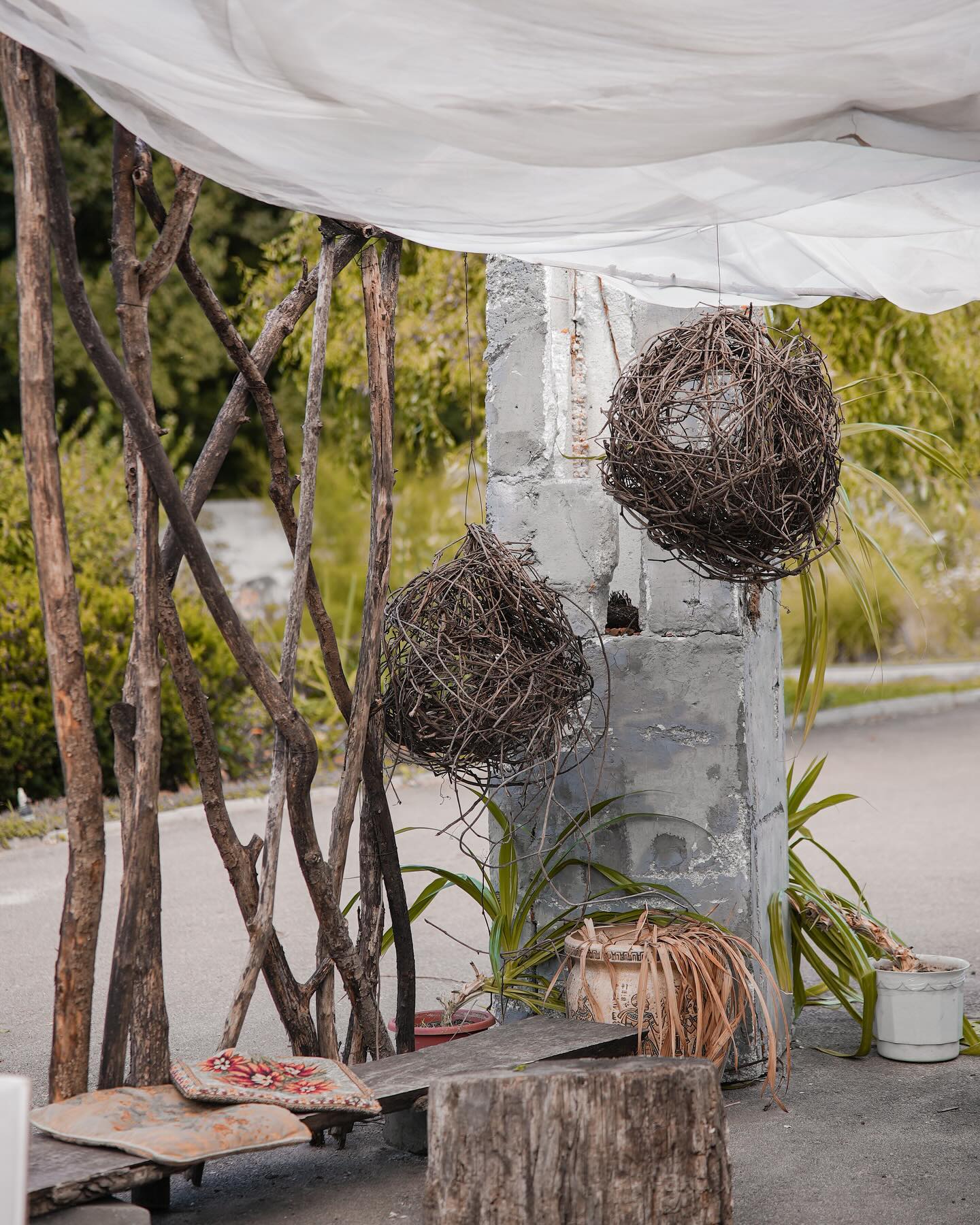 siyamore_ instagram image archive image